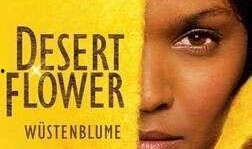 电影沙漠之花在线观看,勇敢绽放的非洲女性传奇